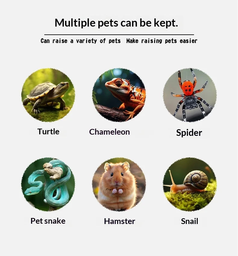 Plastic Reptile Terrarium Mini Rectangle Transparent Durable Multi-Species
