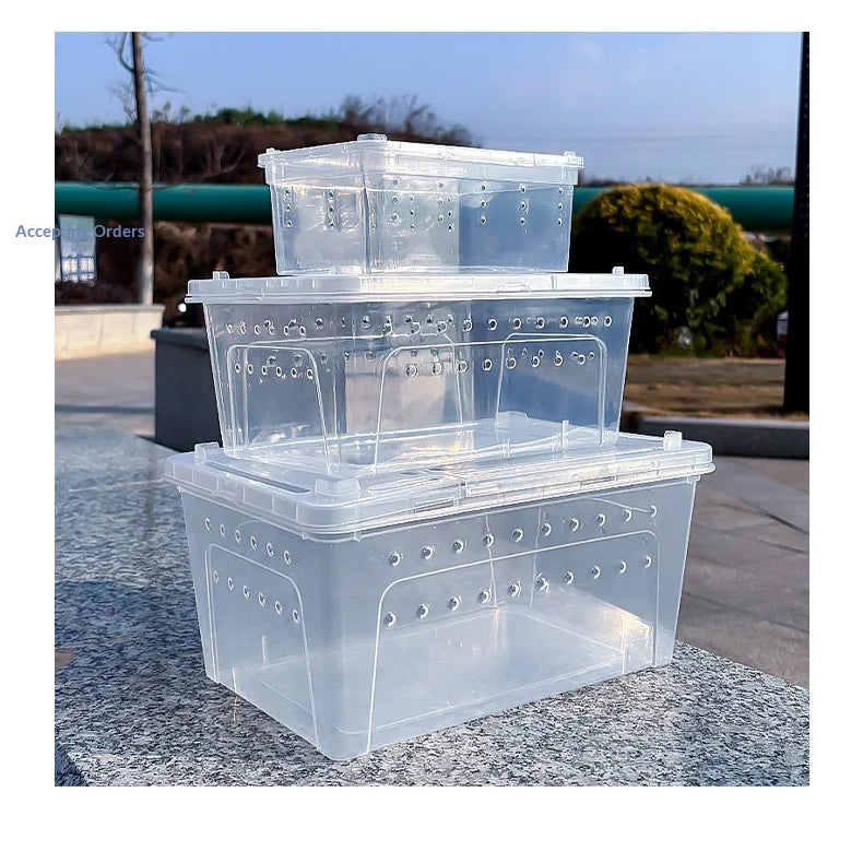 Plastic Reptile Terrarium Mini Rectangle Transparent Durable Multi-Species
