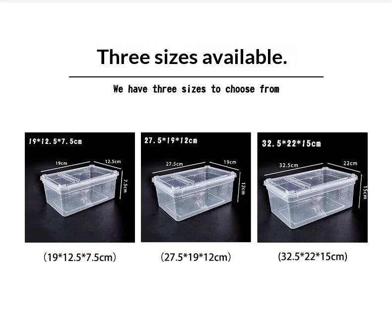 Plastic Reptile Terrarium Mini Rectangle Transparent Durable Multi-Species