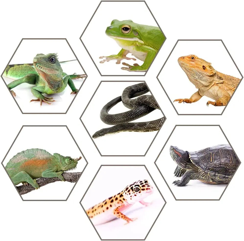 Plastic Reptile Breeding Box H Series Small Snake Habitat Cage