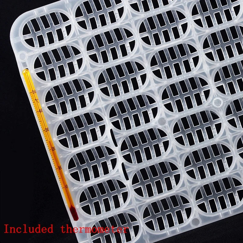 Reptile Egg Incubation Tray 98-Egg Capacity 3cm Tray Width Transparent