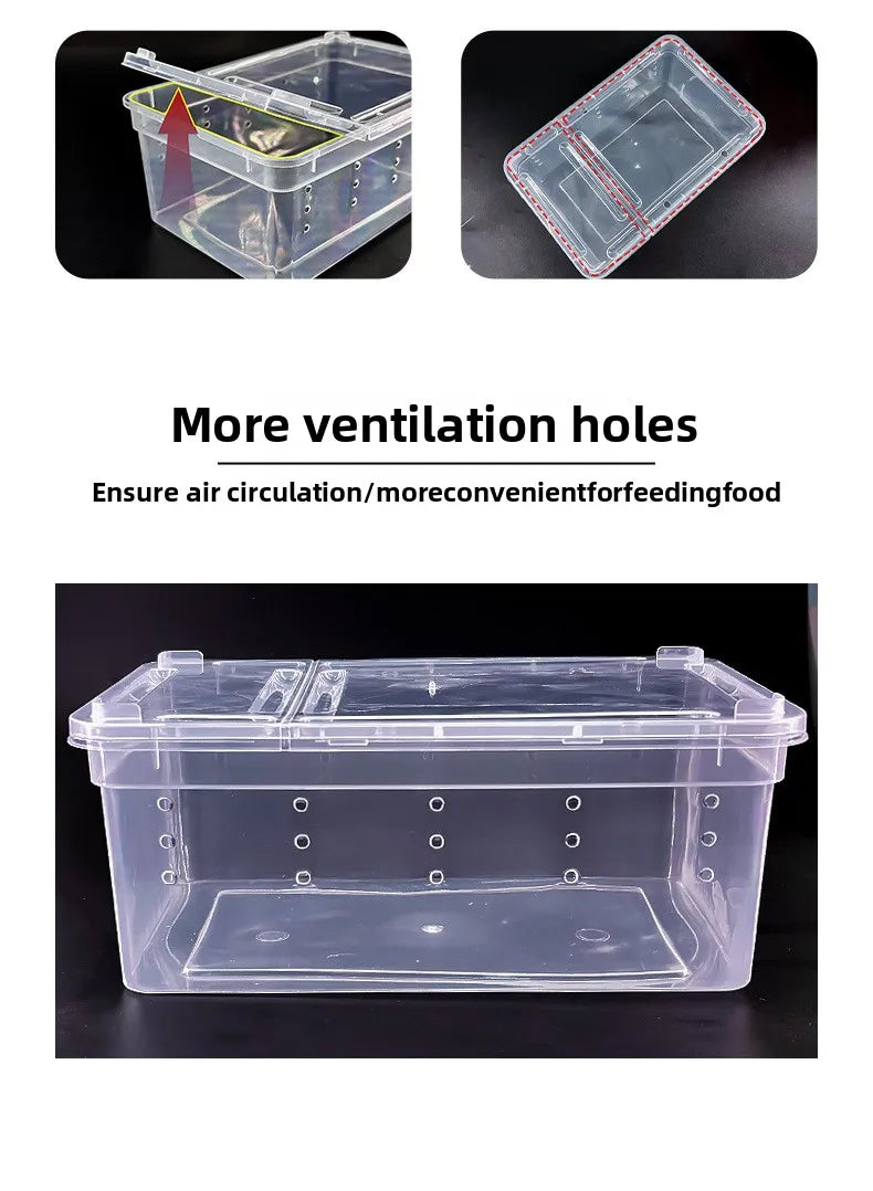 Reptile Feeding Box Transparent Small Snake Habitat Cage