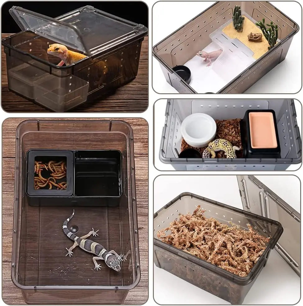 Plastic Reptile Breeding Box H Series Small Snake Habitat Cage