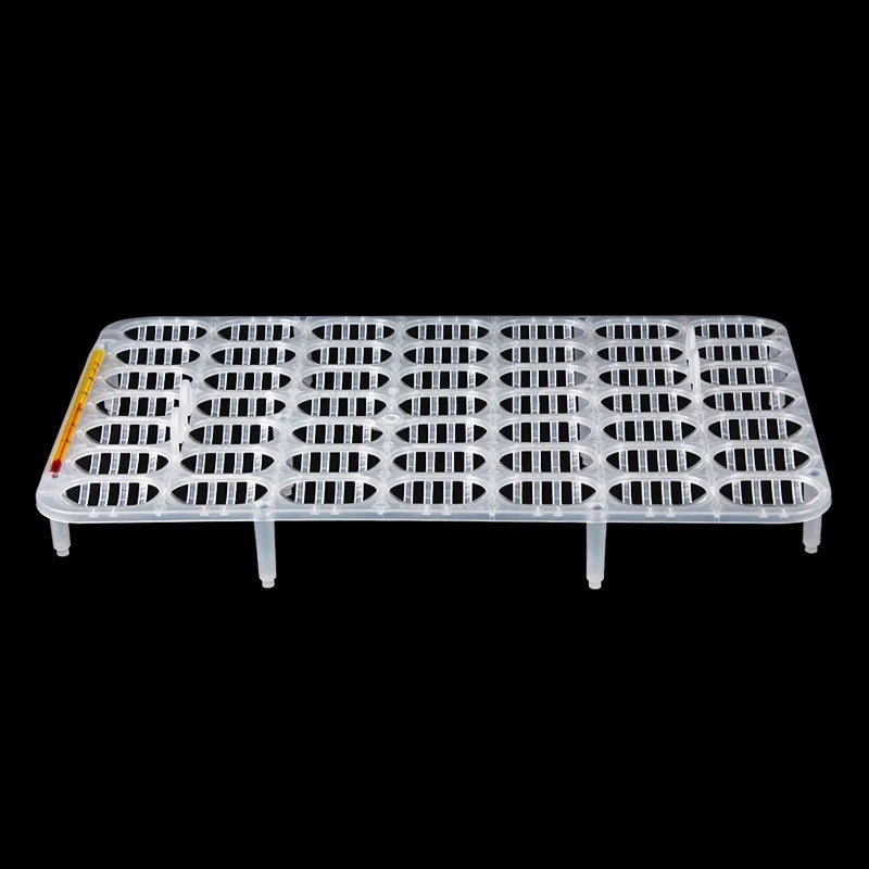 Reptile Egg Incubation Tray 98-Egg Capacity 3cm Tray Width Transparent