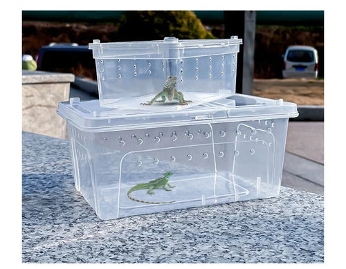 Plastic Reptile Terrarium Mini Rectangle Transparent Durable Multi-Species